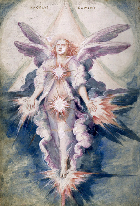 plate 15